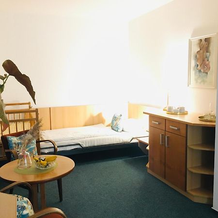 Dvůr Králové nad Labem 中心旅馆酒店 外观 照片